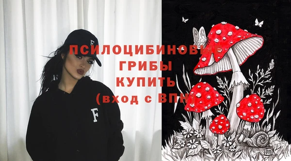 эйфоретик Ветлуга