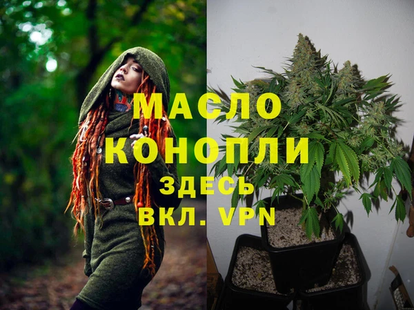 ешки Пересвет