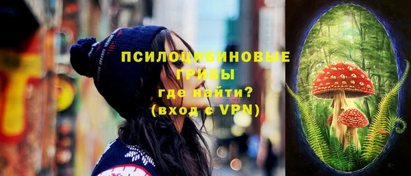 тгк Осинники