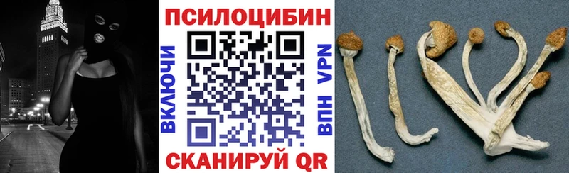 как найти наркотики Бирюч Псилоцибиновые грибы MAGIC MUSHROOMS