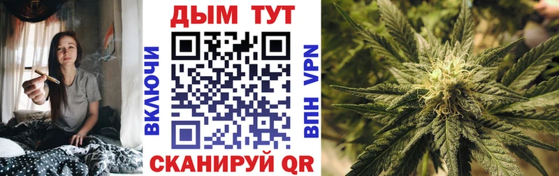 Канабис планчик Бирюч